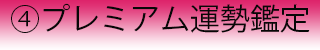 プレミアム運勢鑑定